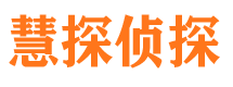 汤阴市调查公司